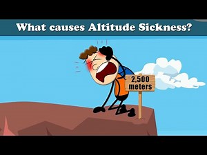 What causes Altitude Sickness? + more videos | #aumsum #kids #cartoon #science