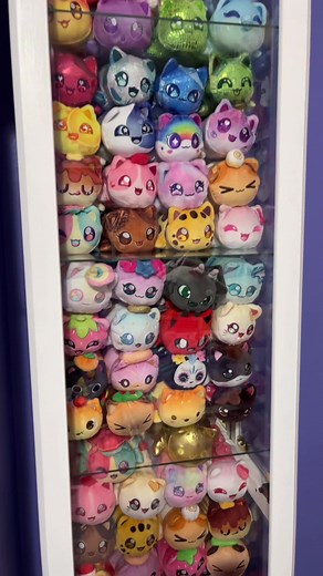 Aphmau Meemeows Collection Update and Rearranging