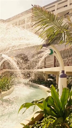 ¡Está de vuelta nuestro Day Pass y ahora puedes elegir si lo disfrutas de día o de noche! ☀️ 🌴 🌊 #MarriottCancunAllInclusive 1.- Day Pass | 9:00 A.M. - 5:00 P.M. Adultos $1600 MXN | Niños $800 MXN (4 - 12 años). Incluye: - Alimentos y Bebidas - Acceso a albercas y playa - Lazy river y parque acuático para niños - Entretenimiento y Actividades - Acceso al CAMP Club para niños de 4 - 12 años 2.- Night Pass | 6:00 P.M. - 11:00 P.M. Adultos $1300 MXN | Niños $650 MXN (4 - 12 años). Incluye: - Una 