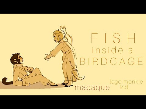 Fish Inside a Birdcage | Macaque LMK animatic