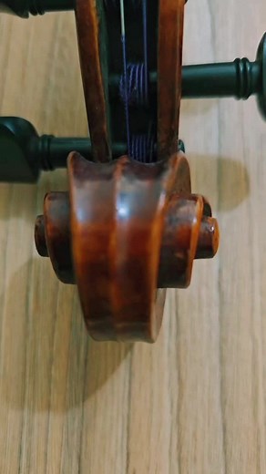 Exploring the Intricacies of a Violin's Design