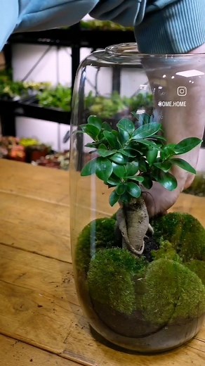 330K views · 671 reactions | Ome.home on Reels | Facebook