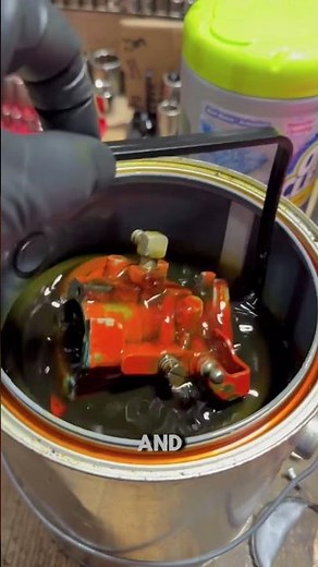 How Well Does Berryman Chem-Dip Carb Dip Work? See For Yourself! #shorts