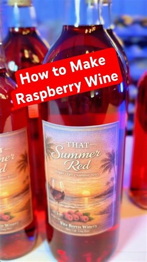 How to Make Raspberry Wine 🍷! #winery #winetipsandtricks #raspberrywine