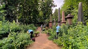 Help keep Tower Hamlets Cemetery Park thriving!