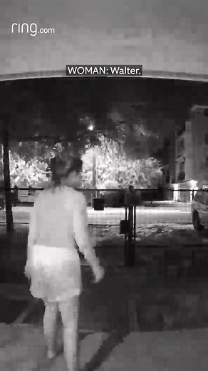 "We had actually seen the web the day before and laughed about how much it would suck to walk through," explains Walter. Sure enough, Walter's girlfriend, Laura, walked right into the spiderweb! | Ring