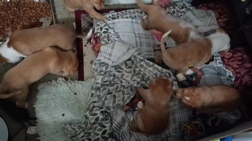 Ashley Radell on Reels