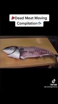 DEAD MEAT MOVING Compilation