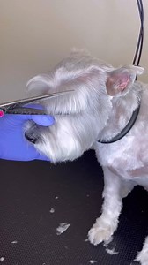 255K views · 4.8K reactions | ❤️❤️ . . . Ten Unknown Facts About #BMW...