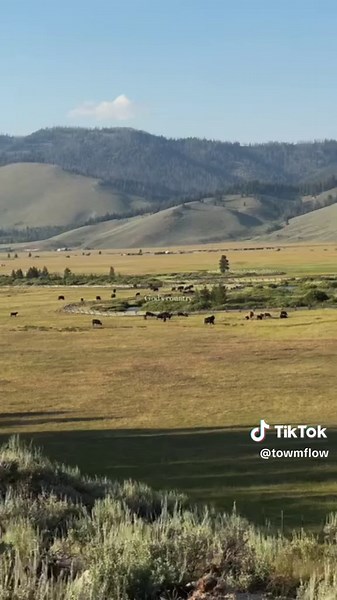 Idaho travel guide: national parks, cowboys & country highlights