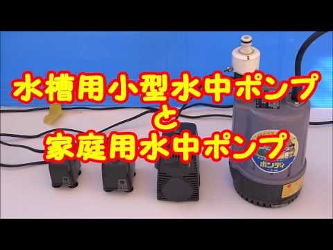【水槽用小型水中ポンプと家庭用水中ポンプ】4種類の水中ポンプの比較