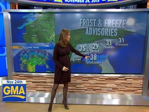 It's #TheDress Meteorologists Across the Country Are Wearing