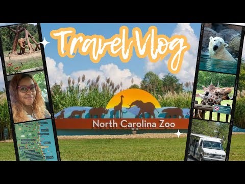 NORTH CAROLINA ZOO | LARGEST HABITAT ZOO IN THE WORLD | ZOO WALK