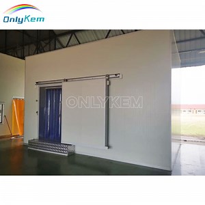 [Hot Item] Refrigeration Cold Room Freezer Cold Storage Walk in Cooler for Frozen Meat