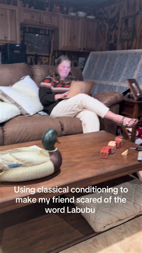 Experimenting with Classical Conditioning in Psychology