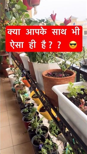 🌿 Agar aap bhi plant lover ho, Tab yeah aapke liye hai 💚✨🌿 #plantlover #nature #shorts