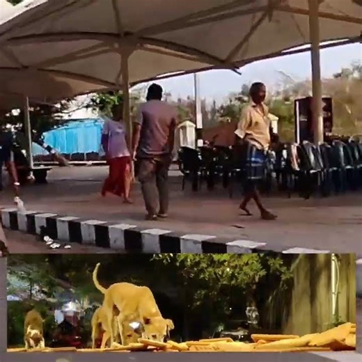 குடும்பத்தோடு பேசு