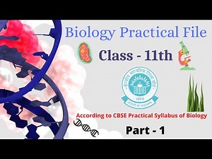 Part - 1 || Biology Practical File || Class 11th || CBSE || Biology Practical || Learning Practicals