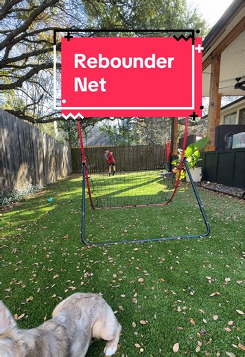 Rebounder Net for Baseball and Softball Fun