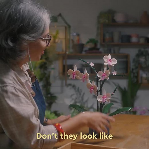 Nothing says elegance like an orchid. Discover the secret meanings of plants with the LEGO Botanical Collection. | LEGO