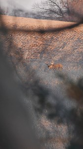 744 reactions | Bowhunting requires effective camouflage for concealment and gear that is quiet. Get close even when there are no leaves on the trees. | ASIO Gear | Facebook