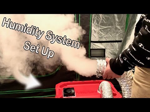 How to Build a Humidity System for Growing Mushrooms