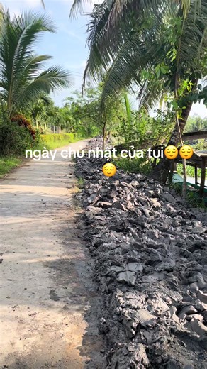 Video của Gia đình Bách (@gia.nh.bch) với bản nhạc nhạc nền - 𝓗𝓾𝓾𝓖𝓲𝓪𝓾 - 𝓗𝓾𝓾 𝓖𝓲𝓪𝓾 1980