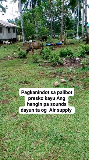 Alberto Barillo on Reels