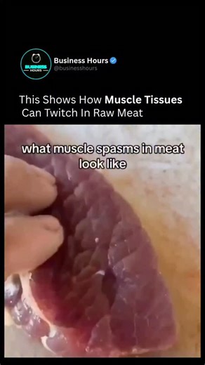 Business | Wealth | Tech on Instagram: "This fascinating clip shows how muscle tissue in raw meat can still twitch due to residual electrical signals and chemical reactions left in the muscle fibers after slaughter. Even though the animal is no longer alive, the muscle cells can briefly react when stimulated by salt or touch, causing visible movement that often surprises people. It’s a striking reminder that muscles work through electrical impulses and ions like sodium and potassium, and those s