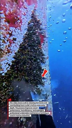 Underwater Hull Cleaning | Removing Barnacles and Coral from a Ship