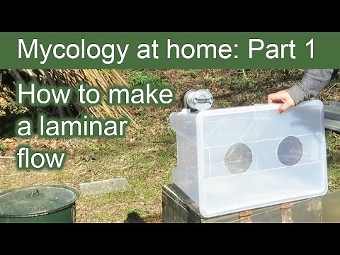How to make a Laminar Flow ∼ Fume Cabinet ∼ Mycology at Home: Part 1