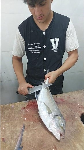 Step Into the World of Fish Cutting – A Mesmerizing Experience