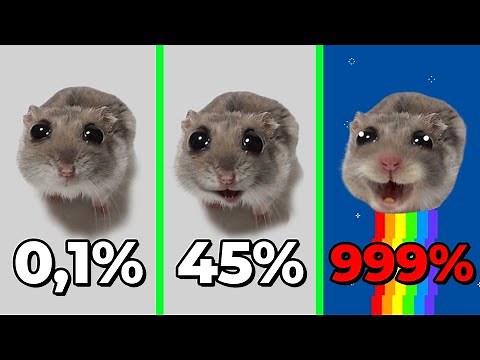 Sad Hamster Becomes Happy