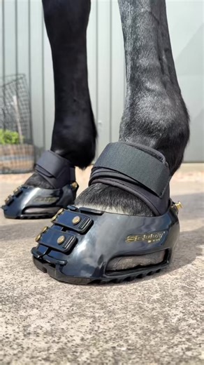 MultiPurpose Gaiters in every colour, because why choose just one? 🖤🩵🩷🐴 Black for a sleek classic look, Marine for cool coastal vibes, and Pink for that fun pop of personality 💅✨ Easy to fit and secure in seconds, they add extra protection around the pastern and heel bulbs while moulding to your horse’s shape for a secure, comfortable and custom fit. Compatible with all Scootboot models and ideal for fine tuning the fit throughout the trimming cycle. 🐎 Not sure on sizing? Scootboots expert