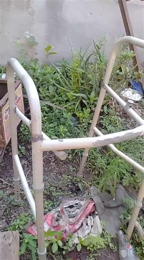 Videos de Moises Cruz (@moises.cruz98) con “sonido original - Moises Cruz”