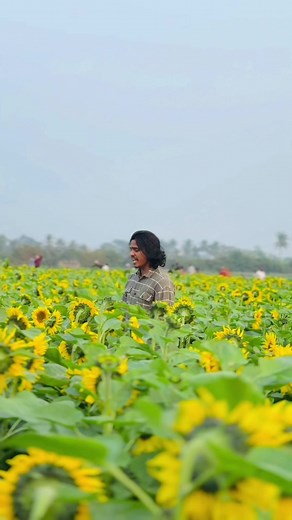 Understand Retry Logic with RxJS: Sunflower Example