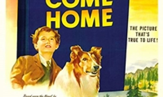 Lassie Come Home - Where to Watch and Stream Online – Entertainment.ie