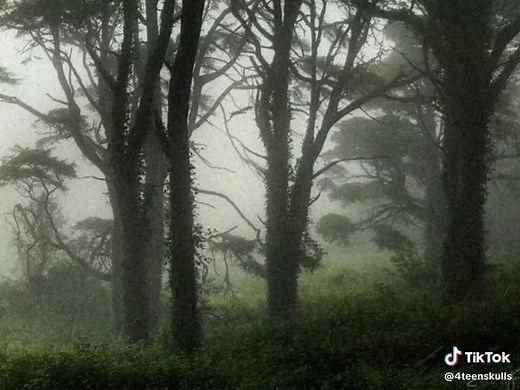 Captivating Twilight Scenes in a Grunge Southern Gothic Setting