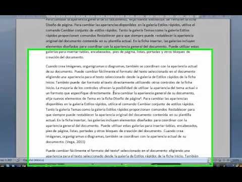 Insertar Notas al Pie y Citas