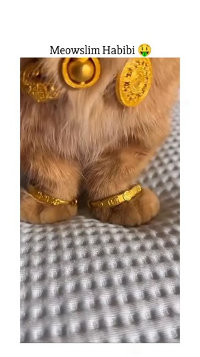 Paw Pet Daily | Cat Media 🐾 on Instagram: "The video shows a cat dressed in decorative jewelry and a Dubai-inspired outfit, sitting calmly and holding a composed posture while looking directly at the camera. The styling, combined with the cat’s steady gaze and relaxed body language, creates a confident and regal appearance, turning the moment into a playful character portrayal rather than a costume display. The accessories remain lightweight and non-restrictive, allowing the cat to sit comforta