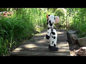 Tanzende Kuh (Dancing Cow)