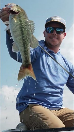 Fenwick Eagle Rod Review | Fenwick Pro Caz Anderson #fenwickfishing #bassfishing #fishinggear #fish