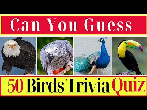 Top 50 Birds Trivia Quiz! 🦜🐦 || Birds Quiz || #BirdQuiz
