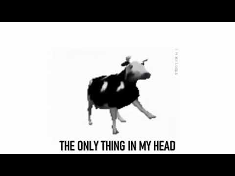 Polish Dancing Cow (1 Hour Loop) (English Lyrics) (Cypis - Gdzie Jest Biały Węgorz)