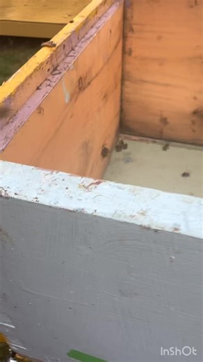 1.6K views · 32 reactions | How Do Honey Bees Fix Holes in Their...