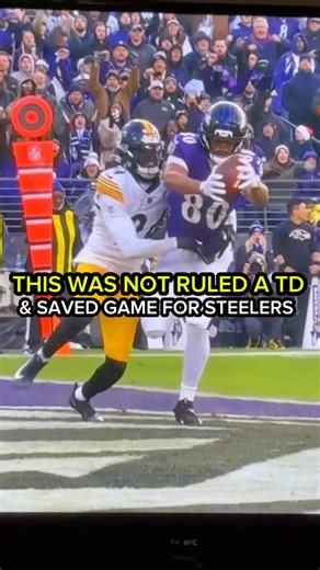Johnny Pittsburgh on Instagram: "This non-call touchdown saved the game for the Steelers #steelers #pittsburgh #Ravens #steelernation"