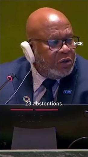 UN General Assembly adopts resolution demanding immediate ceasefire in Gaza - 12 December