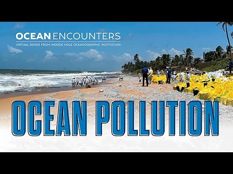 Ocean Encounters: Pollution