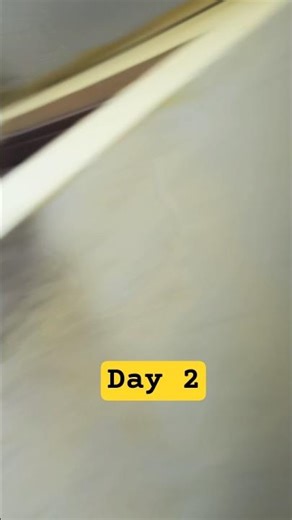 Day 2 push ups #pushups #chettyboy #challenge #shorts