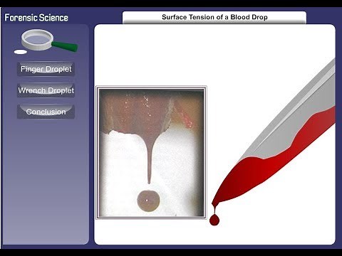 Surface Tension of a Blood Drop